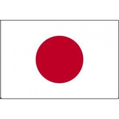 Japonya Bayrağı (30X45 Cm)