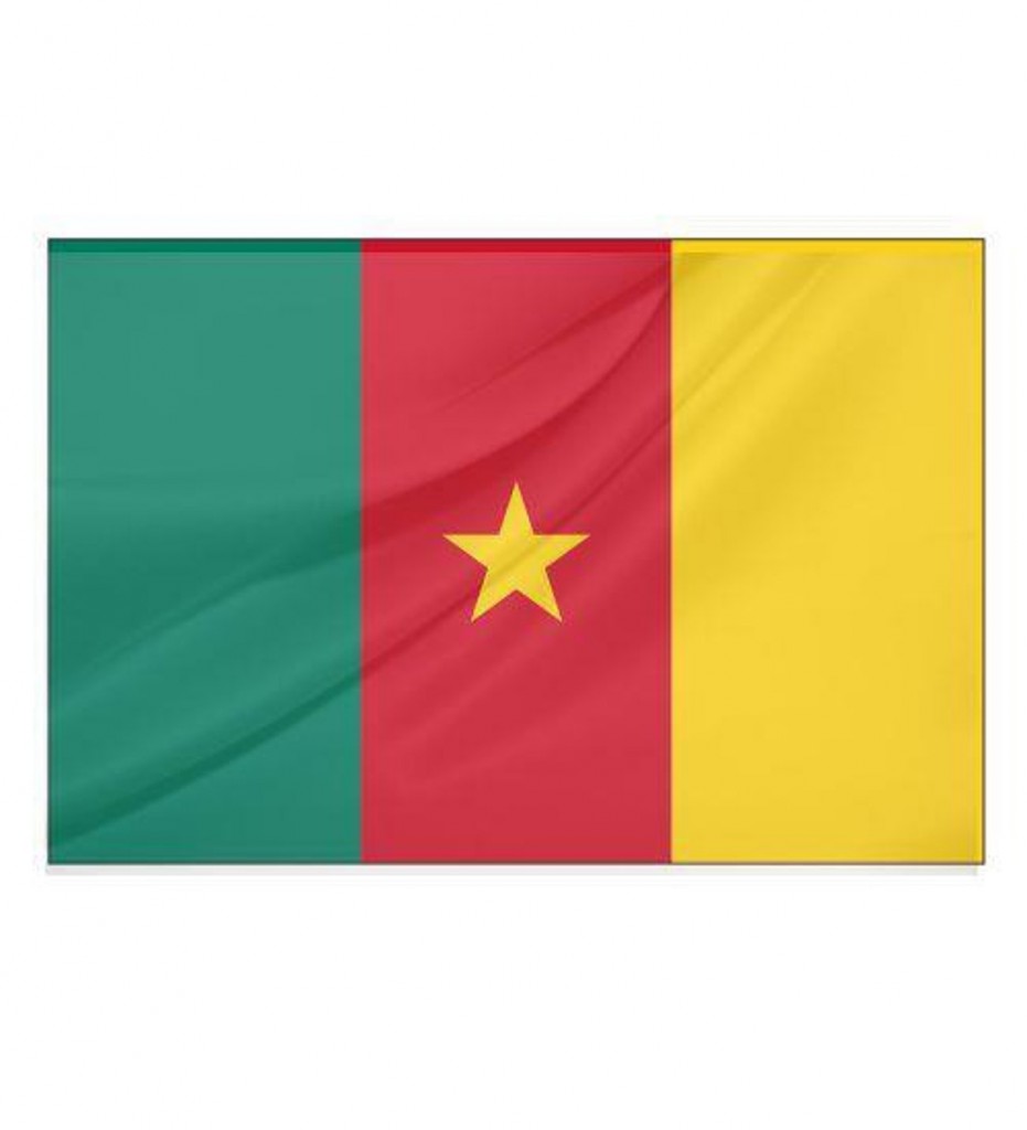 Kamerun Bayrağı (30X45 Cm)