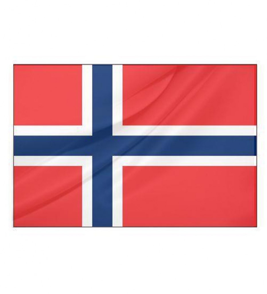 Norveç Bayrağı (30X45 Cm)