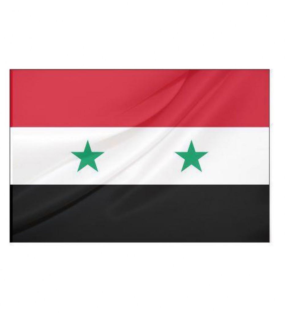 Suriye Bayrağı (30X45 Cm)