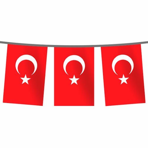 Türk Bayrağı Alpaka Dizili 30X45 Cm (50 Adet - 25 Mt)
