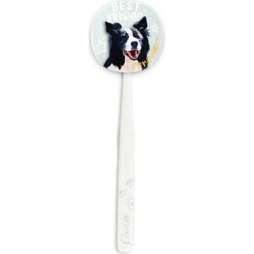 Rocs Flipper Pets Hijyenik Saklama Kabı Ve Yetişkin Diş Fırçası Seti (Köpek) Beyaz