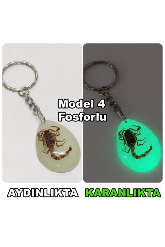 - Akrep Fosilli - Toz Kehribar Anahtarlık - 4 Model
