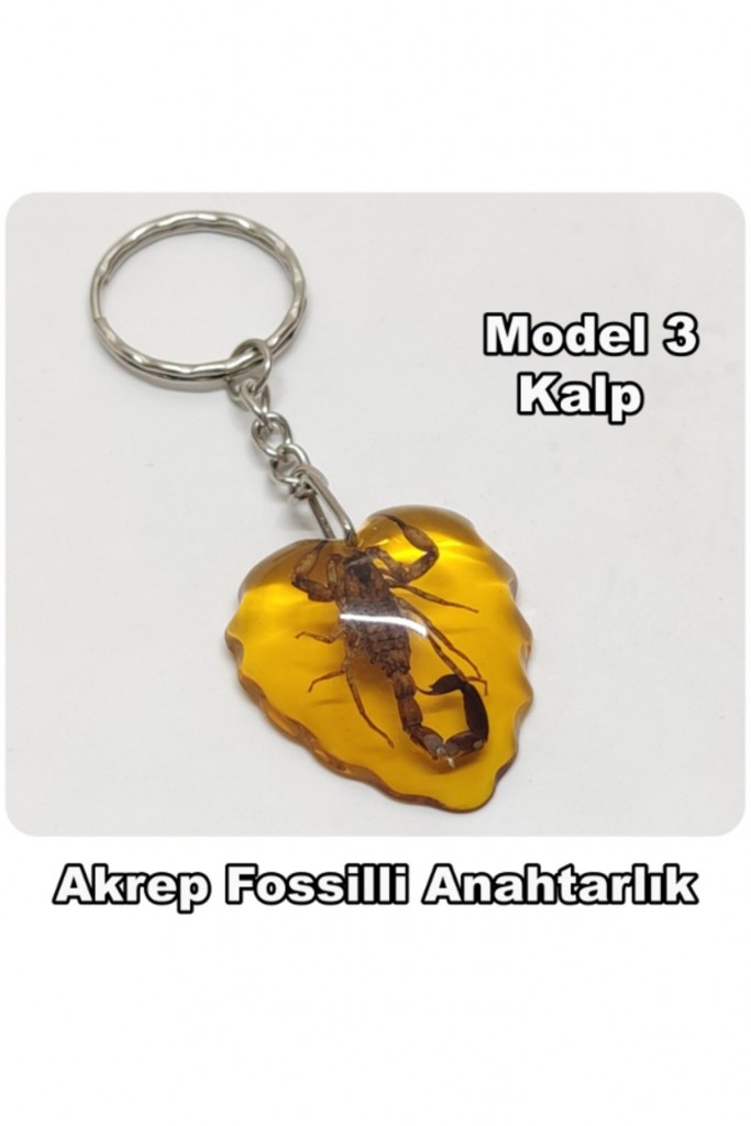 - Akrep Fosilli - Toz Kehribar Anahtarlık - 4 Model