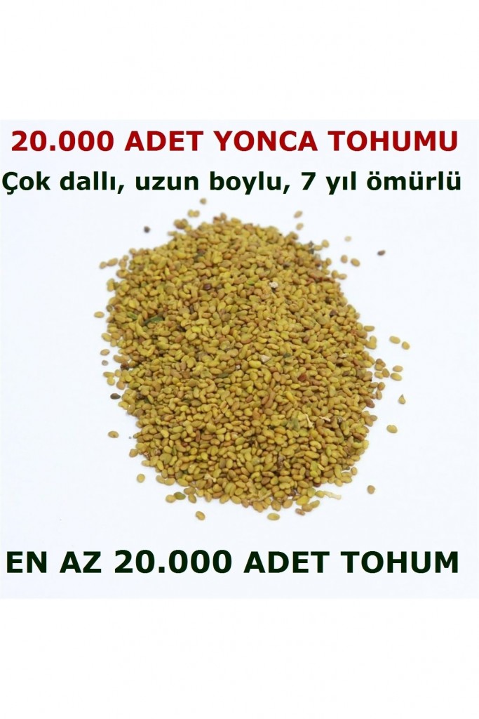 Yonca Tohumu 20.000 Adet