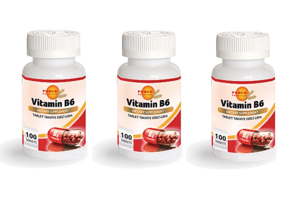 Force Nutrition Vitamin B6 100 Tablet | 3 Kutu