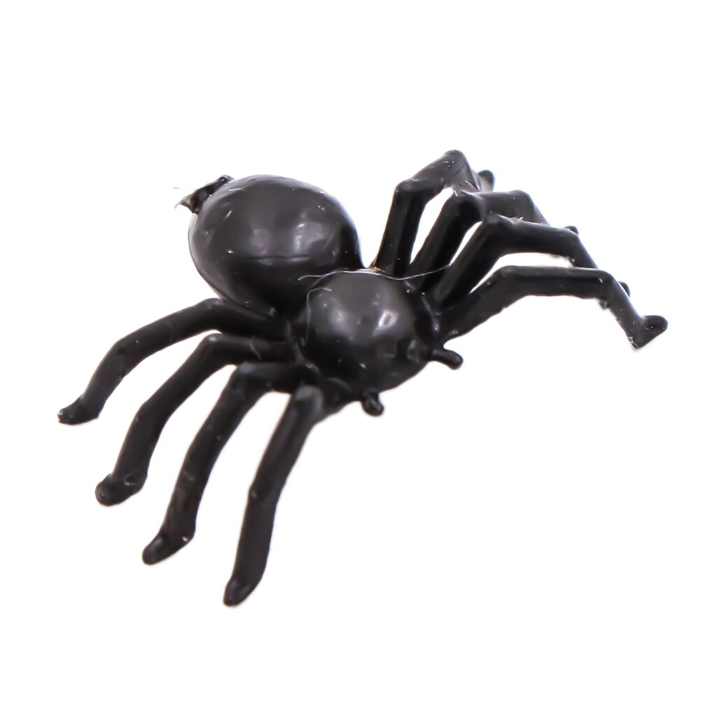 Cadilar Bayrami Halloween Şaka Örümcek Si̇yah Plati̇k Fi̇gür 13Cm X 7Cm - 1 Adet